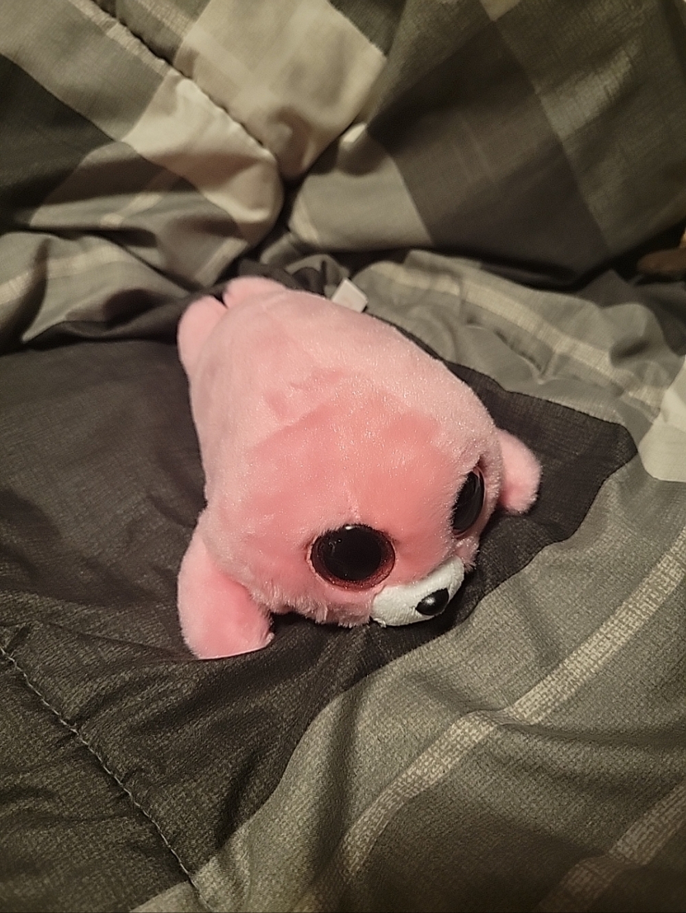 2017 Ty Beanie Boos Pierre Pink Seal Plush with Glitter Eyes 7.5"